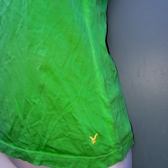 American eagle - Picture 6 of 6